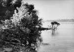 Thomas Joshua Cooper. Looking West towards Exile and the Trail of Tears / The Lower Mississippi River (East Bank). Trail of Tears State Park, near Jackson, Cape Girardeau County, Mississippi, USA, 2010-14. Selenium-toned chlorobromide gelatin silver print, 20 × 24 in (50.8 × 61 cm). Courtesy the artist and Lannan Foundation, Santa Fe, NM.